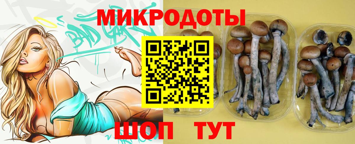 Галлюциногенные грибы прущие грибы  Вход с VPN  Галлюциногенные грибы Psilocybine cubensis  Хасавюрт 
