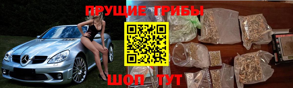 Галлюциногенные грибы прущие грибы Хасавюрт